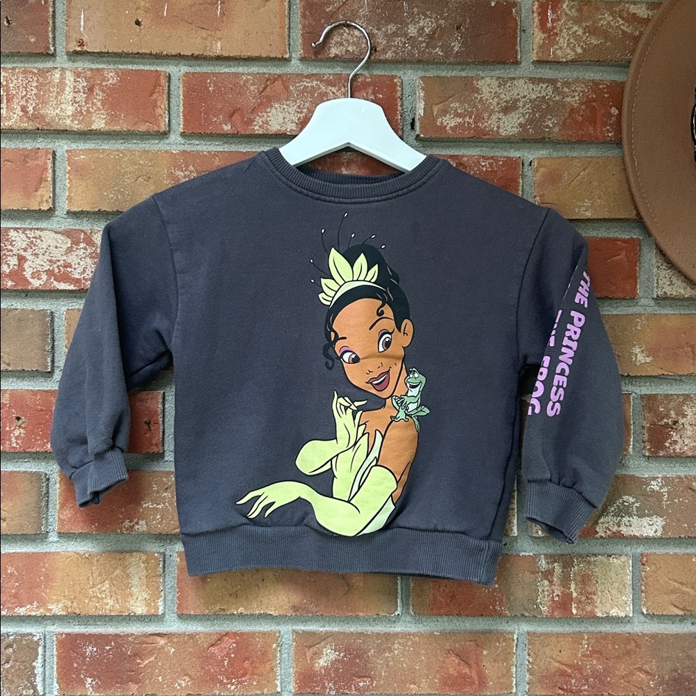 Zara x Disney The Princess and the Frog Crewneck Sweater (4-5Y)